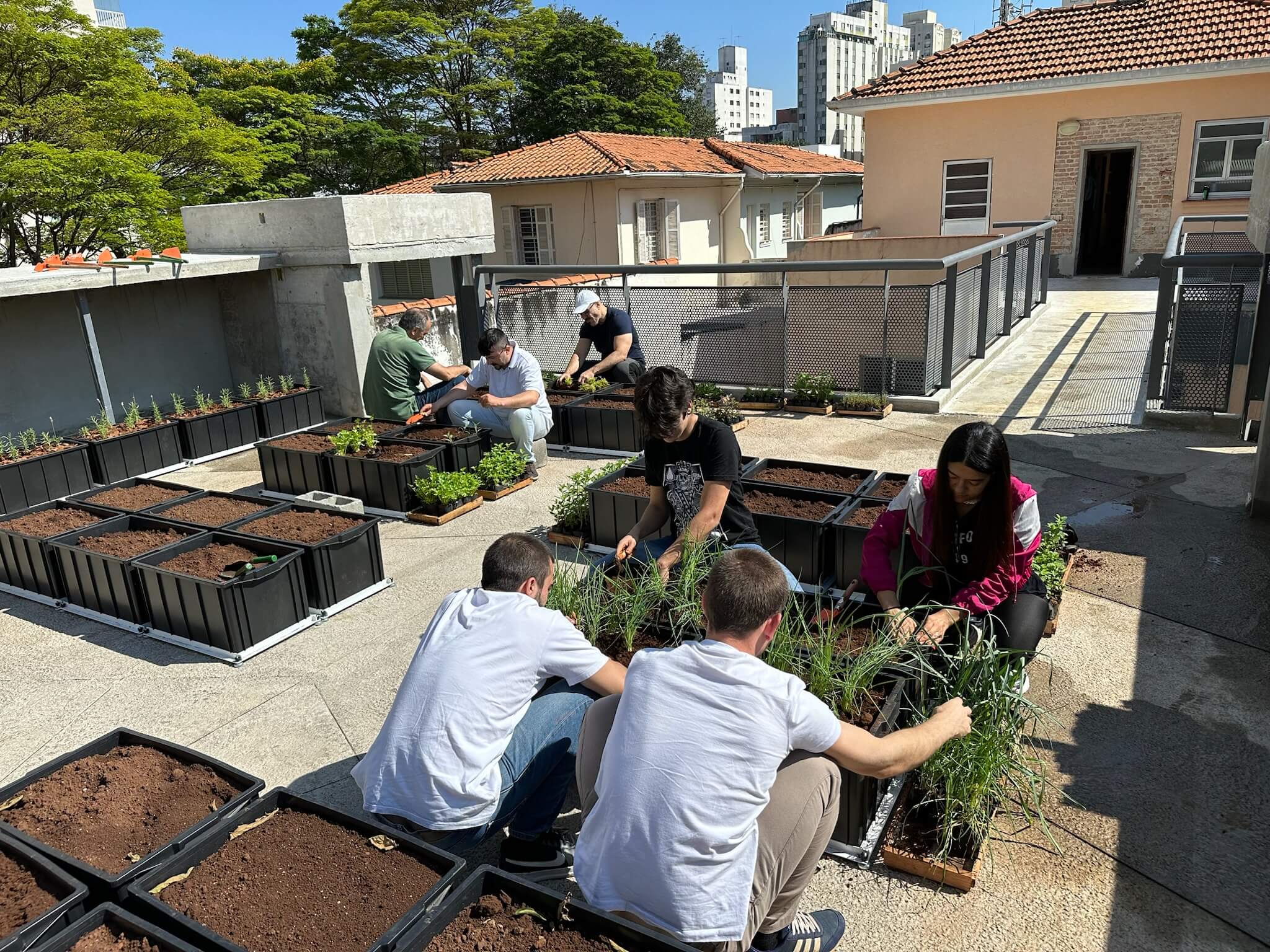 Grupos de Trabalho 5
